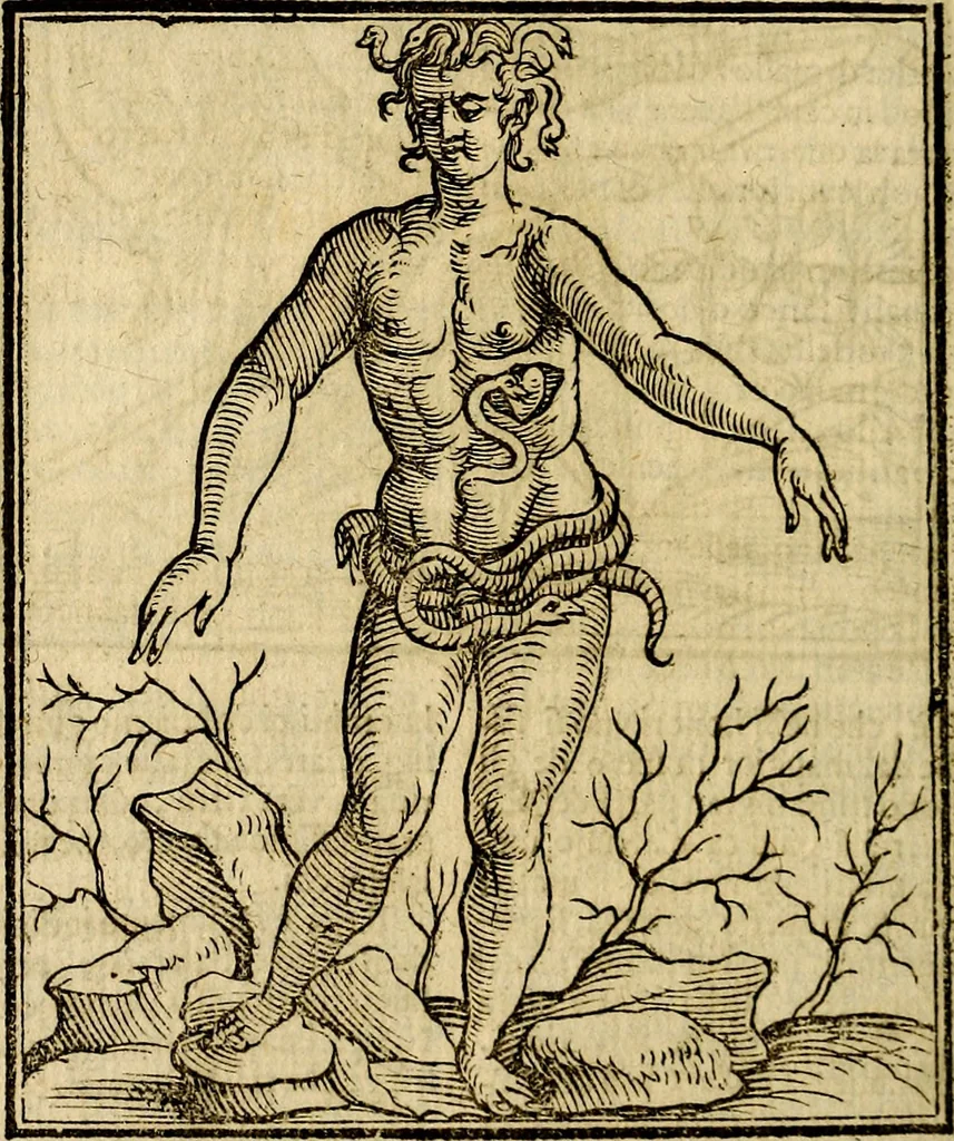 An illustration from Della piu che novissima iconologia, 1630, leaf 649