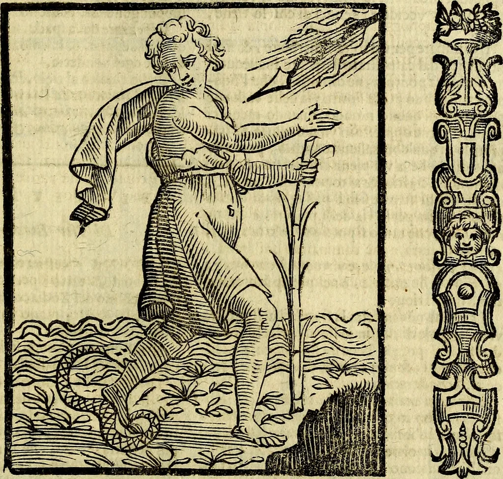 An illustration from Della piu che novissima iconologia, 1630, leaf 654