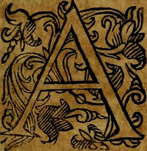 An illustration from Della piu che novissima iconologia, 1630, leaf 70