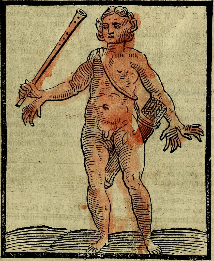 An illustration from Della piu che novissima iconologia, 1630, leaf 734