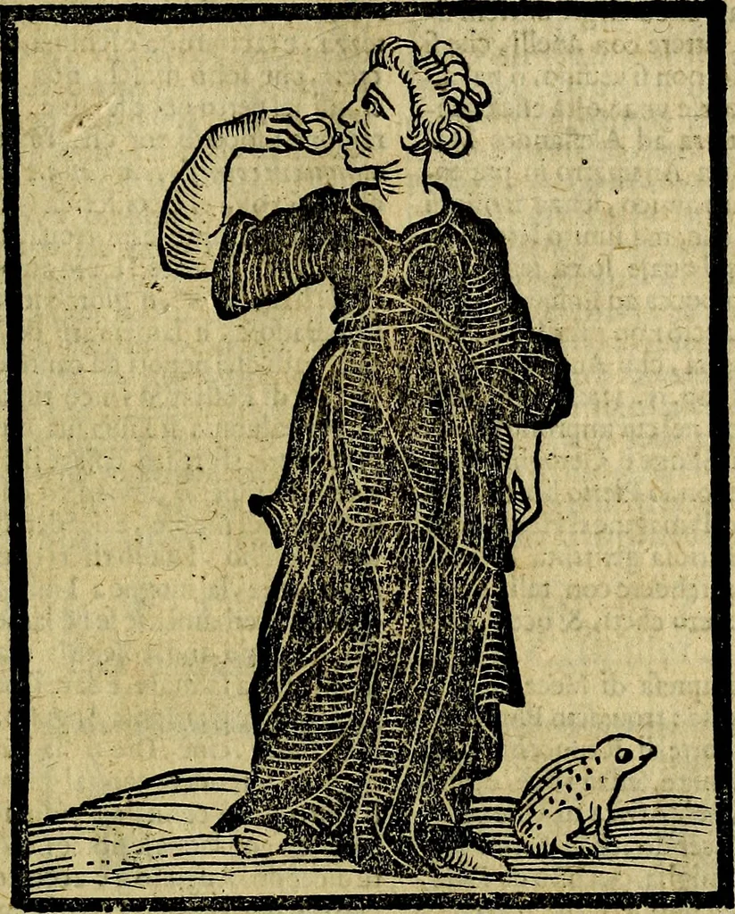 An illustration from Della piu che novissima iconologia, 1630, leaf 748