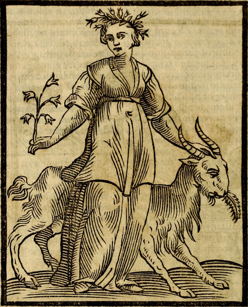 An illustration from Della piu che novissima iconologia, 1630, leaf 805