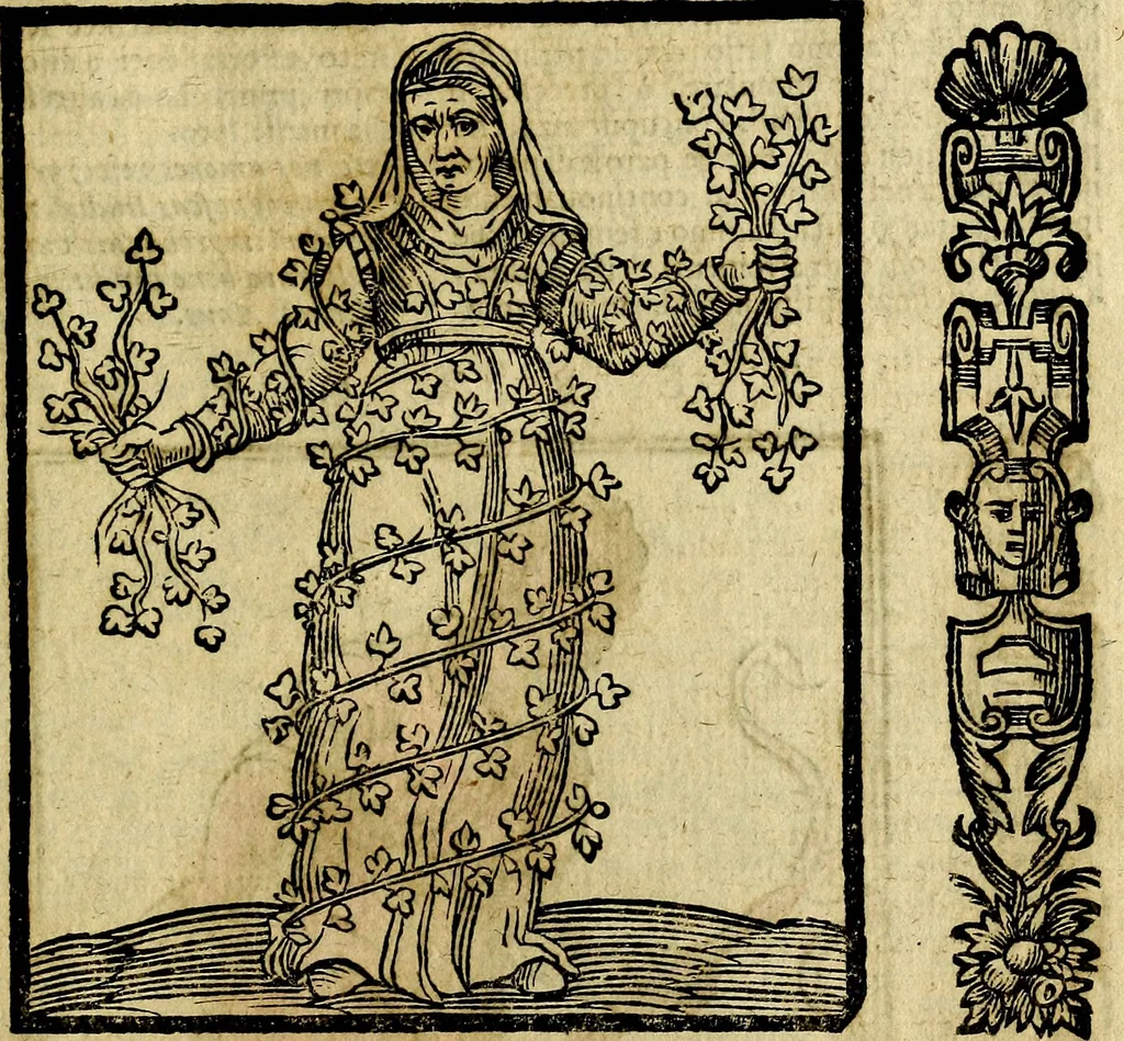 An illustration from Della piu che novissima iconologia, 1630, leaf 816