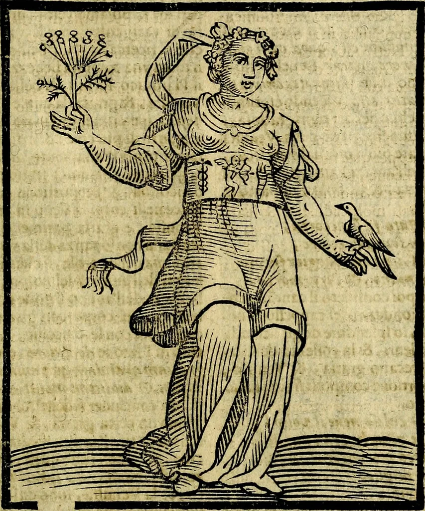 An illustration from Della piu che novissima iconologia, 1630, leaf 844