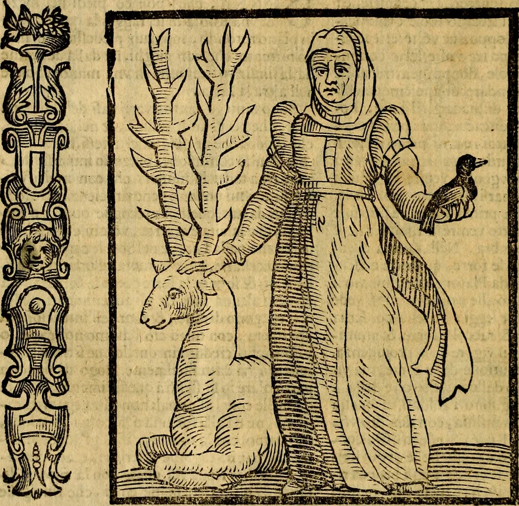 An illustration from Della piu che novissima iconologia, 1630, leaf 881