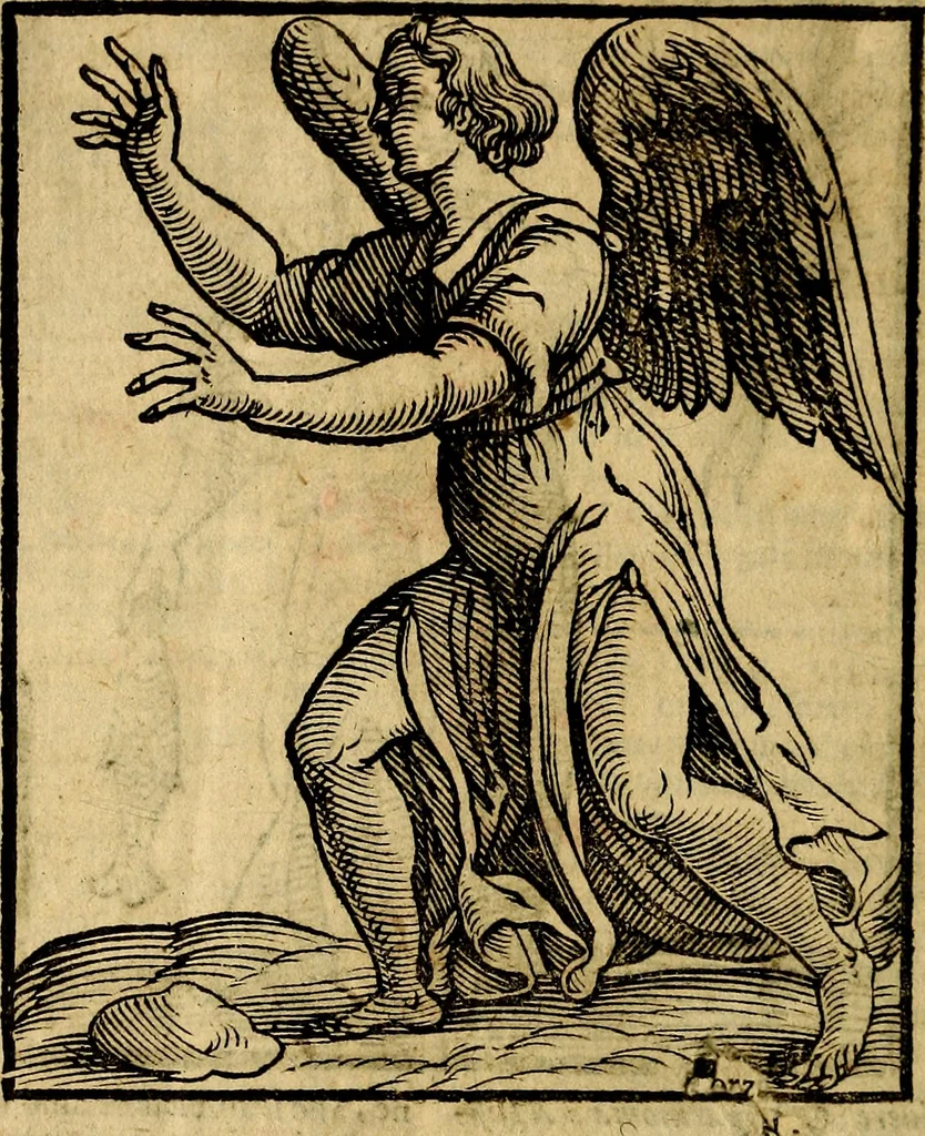An illustration from Della piu che novissima iconologia, 1630, leaf 885