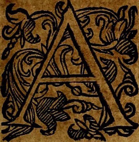 An illustration from Della piu che novissima iconologia, 1630, leaf 90