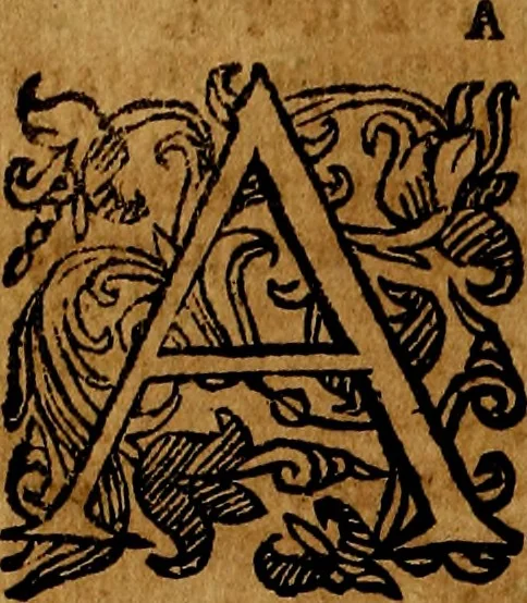 An illustration from Della piu che novissima iconologia, 1630, leaf 97