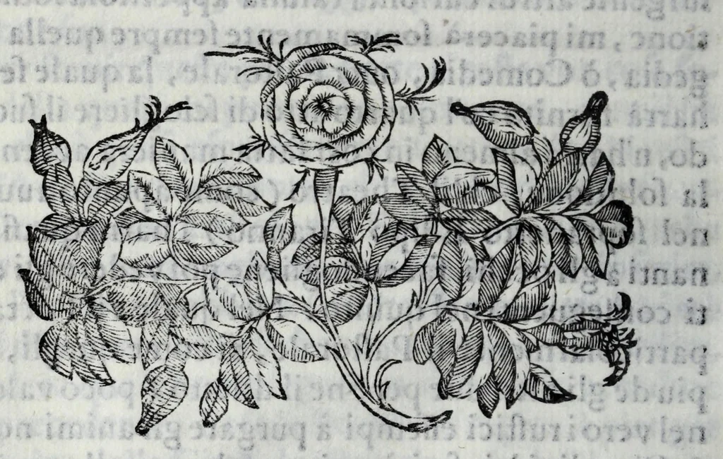 An illustration from Della poesia rappresentativa & del modo di rappresentare le favole sceniche : discorso, 1598, leaf 72