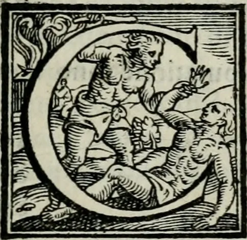 An illustration from Della ragion di Stato libri dieci : con tre libri Delle cause della grandezza, e magnificenza delle città, 1589, leaf 12