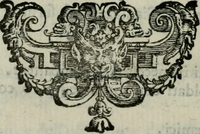 An illustration from Della ragion di Stato libri dieci : con tre libri Delle cause della grandezza, e magnificenza delle città, 1589, leaf 17