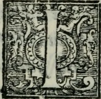 An illustration from Della ragion di Stato libri dieci : con tre libri Delle cause della grandezza, e magnificenza delle città, 1589, leaf 183