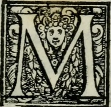 An illustration from Della ragion di Stato libri dieci : con tre libri Delle cause della grandezza, e magnificenza delle città, 1589, leaf 194