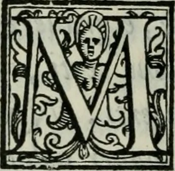 An illustration from Della ragion di Stato libri dieci : con tre libri Delle cause della grandezza, e magnificenza delle città, 1589, leaf 205