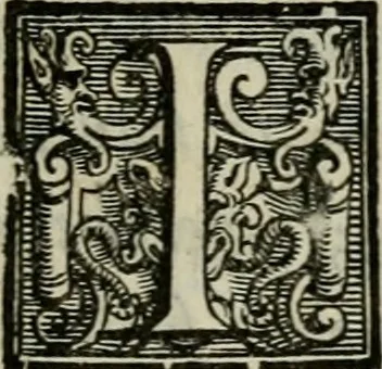 An illustration from Della ragion di Stato libri dieci : con tre libri Delle cause della grandezza, e magnificenza delle città, 1589, leaf 22