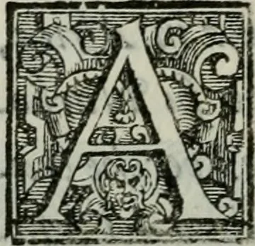 An illustration from Della ragion di Stato libri dieci : con tre libri Delle cause della grandezza, e magnificenza delle città, 1589, leaf 231