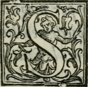 An illustration from Della ragion di Stato libri dieci : con tre libri Delle cause della grandezza, e magnificenza delle città, 1589, leaf 234