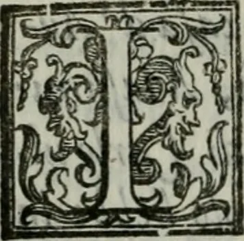 An illustration from Della ragion di Stato libri dieci : con tre libri Delle cause della grandezza, e magnificenza delle città, 1589, leaf 237