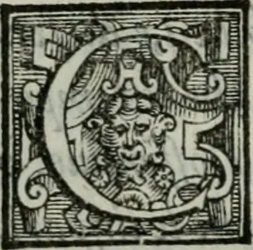 An illustration from Della ragion di Stato libri dieci : con tre libri Delle cause della grandezza, e magnificenza delle città, 1589, leaf 241
