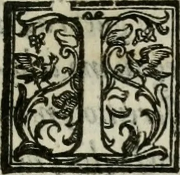 An illustration from Della ragion di Stato libri dieci : con tre libri Delle cause della grandezza, e magnificenza delle città, 1589, leaf 242