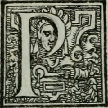 An illustration from Della ragion di Stato libri dieci : con tre libri Delle cause della grandezza, e magnificenza delle città, 1589, leaf 245