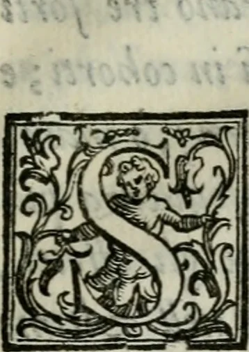 An illustration from Della ragion di Stato libri dieci : con tre libri Delle cause della grandezza, e magnificenza delle città, 1589, leaf 258