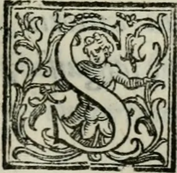 An illustration from Della ragion di Stato libri dieci : con tre libri Delle cause della grandezza, e magnificenza delle città, 1589, leaf 280