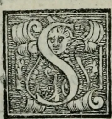 An illustration from Della ragion di Stato libri dieci : con tre libri Delle cause della grandezza, e magnificenza delle città, 1589, leaf 293