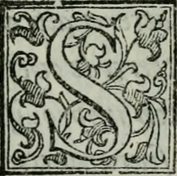 An illustration from Della ragion di Stato libri dieci : con tre libri Delle cause della grandezza, e magnificenza delle città, 1589, leaf 293