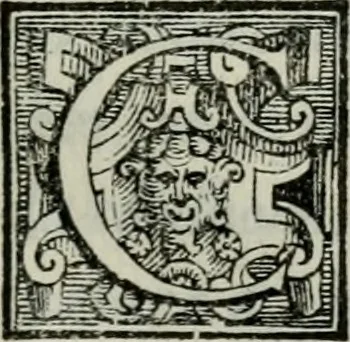 An illustration from Della ragion di Stato libri dieci : con tre libri Delle cause della grandezza, e magnificenza delle città, 1589, leaf 294