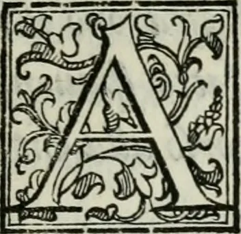 An illustration from Della ragion di Stato libri dieci : con tre libri Delle cause della grandezza, e magnificenza delle città, 1589, leaf 302