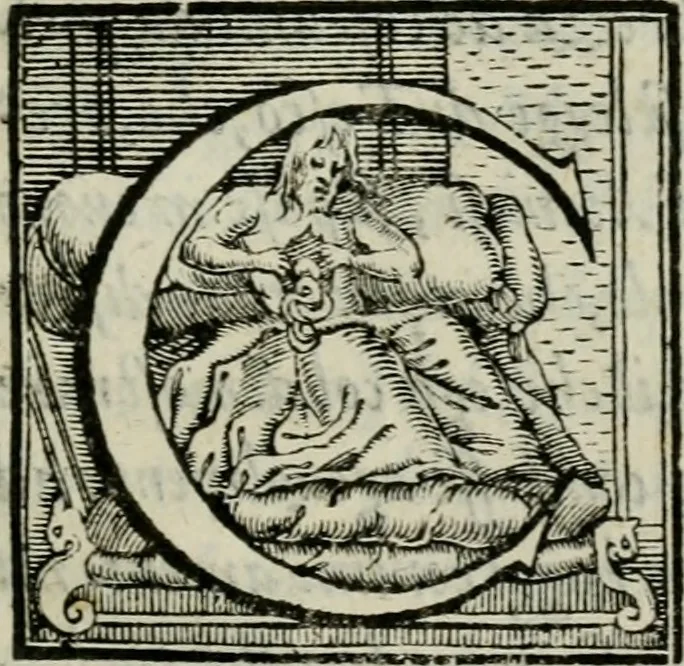 An illustration from Della ragion di Stato libri dieci : con tre libri Delle cause della grandezza, e magnificenza delle città, 1589, leaf 314