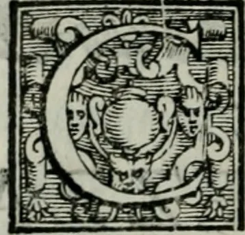An illustration from Della ragion di Stato libri dieci : con tre libri Delle cause della grandezza, e magnificenza delle città, 1589, leaf 315