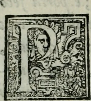 An illustration from Della ragion di Stato libri dieci : con tre libri Delle cause della grandezza, e magnificenza delle città, 1589, leaf 317