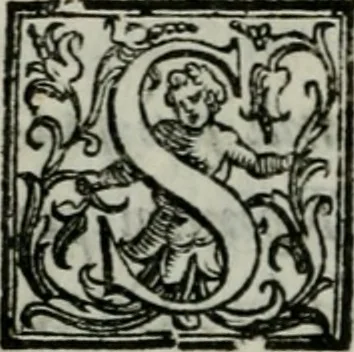 An illustration from Della ragion di Stato libri dieci : con tre libri Delle cause della grandezza, e magnificenza delle città, 1589, leaf 321