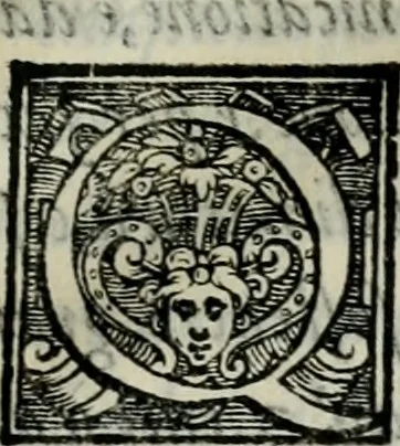 An illustration from Della ragion di Stato libri dieci : con tre libri Delle cause della grandezza, e magnificenza delle città, 1589, leaf 328