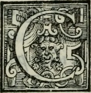 An illustration from Della ragion di Stato libri dieci : con tre libri Delle cause della grandezza, e magnificenza delle città, 1589, leaf 341