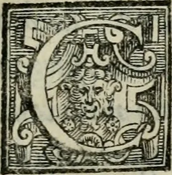 An illustration from Della ragion di Stato libri dieci : con tre libri Delle cause della grandezza, e magnificenza delle città, 1589, leaf 358