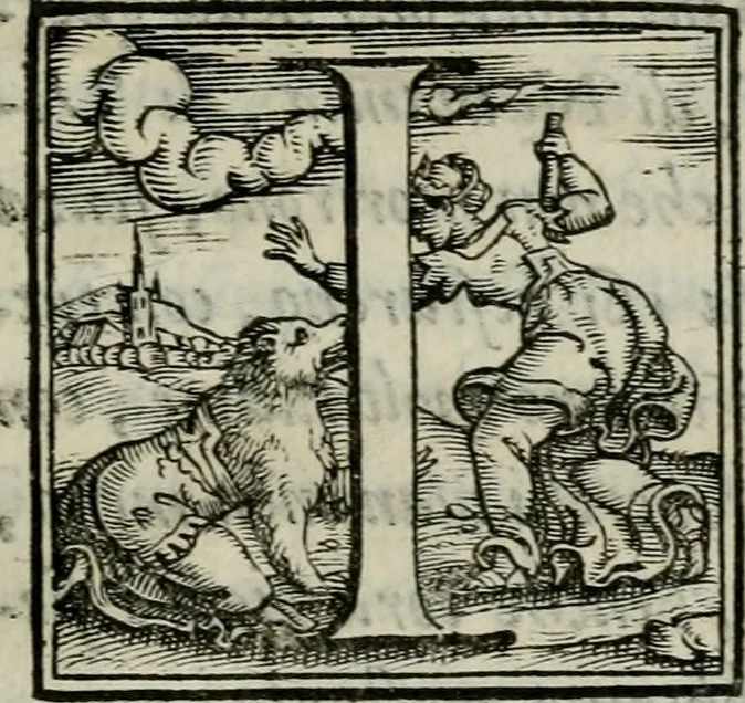 An illustration from Della ragion di Stato libri dieci : con tre libri Delle cause della grandezza, e magnificenza delle città, 1589, leaf 378