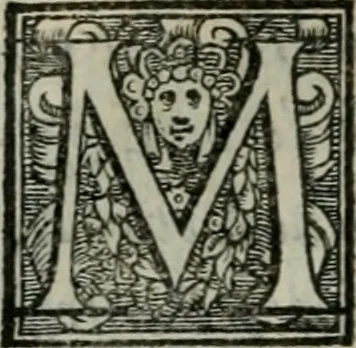 An illustration from Della ragion di Stato libri dieci : con tre libri Delle cause della grandezza, e magnificenza delle città, 1589, leaf 41
