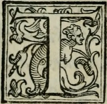 An illustration from Della ragion di Stato libri dieci : con tre libri Delle cause della grandezza, e magnificenza delle città, 1589, leaf 79