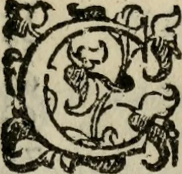 An illustration from Della ragione di stato, libri dieci. Con tre libri delle cause della grandezza delle città. Del Sig. Giovanni Botero Benese. Di nuouo in questa impressione, mutati alcuni luoghi dall' istesso autore, & accresciuti di diuersi discorsi .., 1598, leaf 14