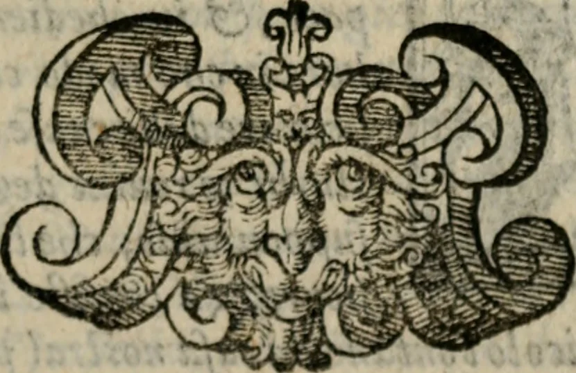An illustration from Della ragione di stato, libri dieci. Con tre libri delle cause della grandezza delle città. Del Sig. Giovanni Botero Benese. Di nuouo in questa impressione, mutati alcuni luoghi dall' istesso autore, & accresciuti di diuersi discorsi .., 1598, leaf 206
