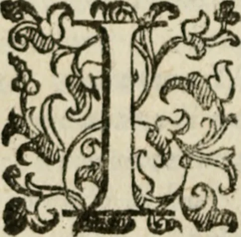 An illustration from Della ragione di stato, libri dieci. Con tre libri delle cause della grandezza delle città. Del Sig. Giovanni Botero Benese. Di nuouo in questa impressione, mutati alcuni luoghi dall' istesso autore, & accresciuti di diuersi discorsi .., 1598, leaf 333