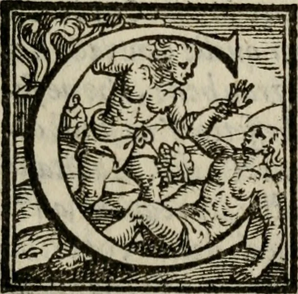 An illustration from Della ragione di stato, libri dieci. Con tre libri delle cause della grandezza delle città. Del Sig. Giovanni Botero Benese. Di nuouo in questa impressione, mutati alcuni luoghi dall' istesso autore, & accresciuti di diuersi discorsi .., 1598, leaf 354