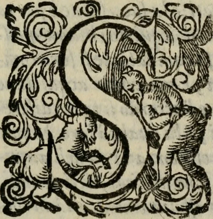 An illustration from Della ragione di stato, libri dieci. Con tre libri delle cause della grandezza delle città. Del Sig. Giovanni Botero Benese. Di nuouo in questa impressione, mutati alcuni luoghi dall' istesso autore, & accresciuti di diuersi discorsi .., 1598, leaf 46