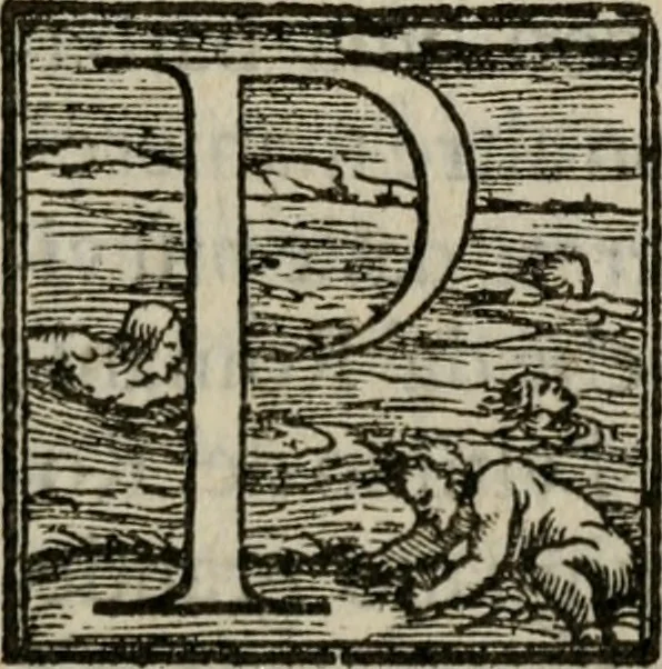 An illustration from Della ragione di stato, libri dieci. Con tre libri delle cause della grandezza delle città. Del Sig. Giovanni Botero Benese. Di nuouo in questa impressione, mutati alcuni luoghi dall' istesso autore, & accresciuti di diuersi discorsi .., 1598, leaf 8