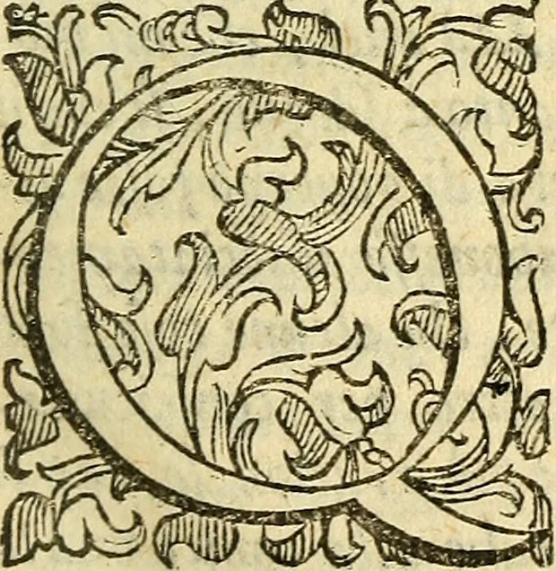 An illustration from Della ragione di stato, libri dieci, 1598, leaf 20