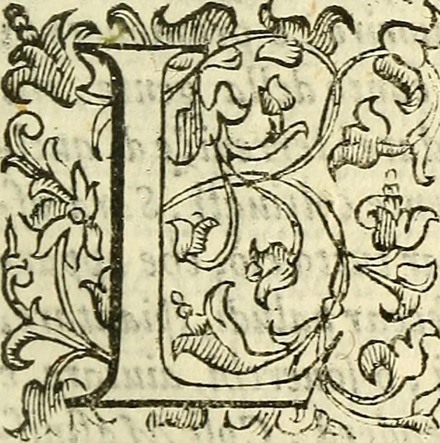 An illustration from Della ragione di stato, libri dieci, 1598, leaf 244
