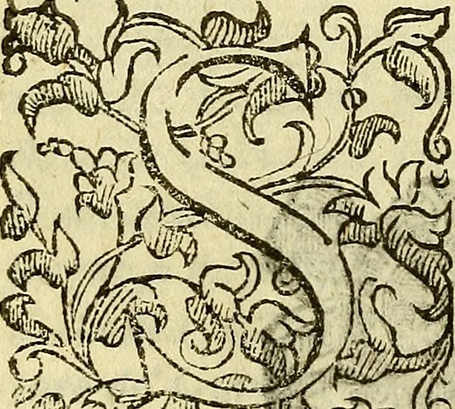 An illustration from Della ragione di stato, libri dieci, 1598, leaf 273